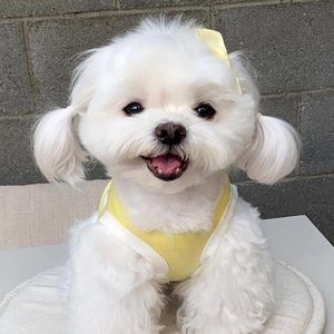 Meet your Posher, Dulce